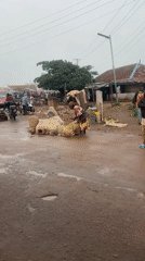 Rainy-day market activity and rural roads in Kuru, Nigeria