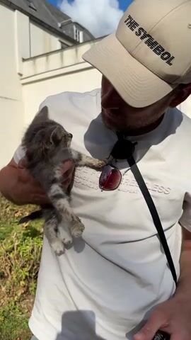 A person in a white t-shirt and a beige baseball cap holds a small, gray tabby kitten in their left arm. The kitten's fur is somewhat disheveled, and its paws are extended outwards. Red-tinted sunglasses are hanging from a black strap around the person's neck. The person is looking down at the kitten. The background shows a light-colored building and some green foliage in sunlight. The scene is outdoors on a sunny day.