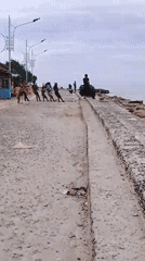 Families gather at polluted Lhokseumawe seawall watching fishing boats