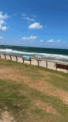 Kiteboarding and beach activity along the Tel Aviv coast