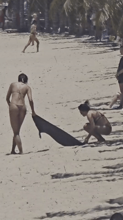 Morning beach life documented in Nha Trang, Vietnam