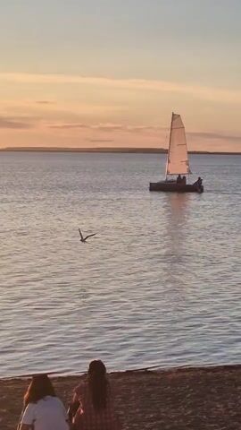 This is a vertical, medium shot video of a sailboat on a body of water during sunset. The sky is a warm gradient of orange and pink, with soft clouds stretching across the horizon. The water is calm, reflecting the sky's colors and the sail of the boat.

The main subject is a small sailboat with a white sail, carrying at least three people. One person appears to be steering, while another is standing and waving. The sailboat is moving from left to right in the frame. In the foreground, a bird, likely a seagull, is flying from left to right across the water. The lower edge of the frame shows the feet of someone sitting on a shore, suggesting the viewer is observing the scene from the land.

The time of day is clearly sunset, indicated by the warm lighting and the colors of the sky. The weather appears to be calm and pleasant. While the specific location isn't visually apparent from the image alone, the prompt specifies Kokshetau, Kazakhstan. The overall mood is serene and peaceful, capturing a moment of leisure and natural beauty. There is no visible text in the media file.