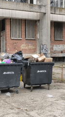 Cat found sitting in trash dumpster in Ruse