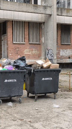 Cat found sitting in trash dumpster in Ruse