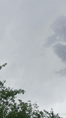White doves spotted on gravel under cloudy skies