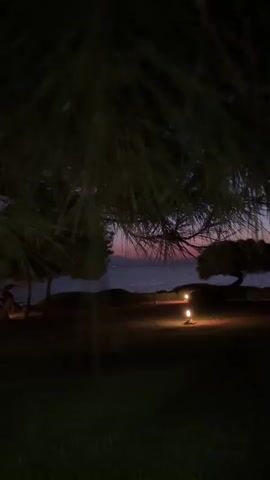 A video shows a dark outdoor scene at dusk. A pine tree's branches are in the foreground, partially obscuring the view. Beyond the branches, a grassy area is illuminated by several small, warm-toned lights. In the mid-ground, a lone tree with a windswept shape stands on a rocky outcrop near the water. The water, likely the sea, extends to the horizon. The sky displays soft hues of pink, orange, and purple, indicating the sun has recently set. Distant lights are visible on the horizon. The overall atmosphere is calm and serene.