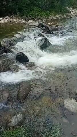 A low-angle, close-up video shows a person in a turquoise t-shirt and blue pants standing on a rock formation in a river. The person is leaning over and holding a fishing rod. Another person, partially visible, is standing behind them, also on the rocks. The river has white water flowing over rocks, and trees line the bank in the background. The scene appears to be a natural outdoor environment.