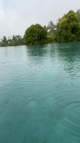 The video shows a still shot of a body of water, likely a pool, with small ripples on the surface caused by raindrops. The water is a pale turquoise color, and the bottom of the pool is visible in places. In the background, there are green trees and palm trees, suggesting a tropical or subtropical location. The sky is overcast, and the overall atmosphere is calm and peaceful. There is no visible human presence.
