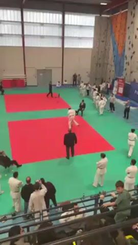 The video shows a judo match on a red and green mat in an indoor gymnasium. Two judokas wearing white uniforms are grappling. The judoka on the left has a red belt. An official in a black suit stands close by, monitoring the match. Another man in a suit sits on a small chair near the mat, appearing to observe the proceedings. A group of people wearing judo uniforms stand along the edge of the mat, watching the match. Other spectators can be seen behind a railing. The gymnasium also features a climbing wall.