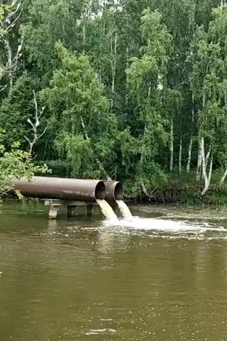 A video shows two large pipes protruding from a wooded area and discharging a frothy liquid into a body of water. The pipes are rusty and appear to be made of metal. They are supported by concrete or metal structures. The water in the foreground is murky green and appears to be turbulent where the liquid from the pipes enters it, creating foam and ripples. The background is dominated by lush green trees, with some lighter-colored tree trunks, possibly birch, interspersed. The sky is not visible. The scene suggests industrial or municipal wastewater discharge into a natural environment.
