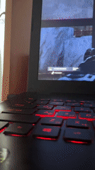 Gamer plays S.T.A.L.K.E.R. series on laptop in Russia