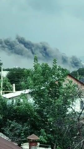 This is a vertical video captured from a high vantage point looking over trees and buildings towards a distant plume of dark smoke rising into a cloudy sky. The smoke appears to be large and billowing, suggesting a significant fire. The foreground shows the tops of trees and parts of residential structures, including roofs and windows. The lighting is overcast, consistent with the cloudy sky. There are no people visible in the video.