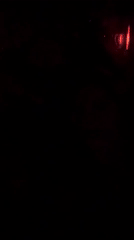 Two women dance and pose at Paris nightclub