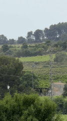 Rural landscape with electrical tower documented in Sant Martí Sarroca