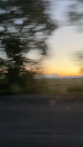 The video shows a blurred, fast-moving view of a landscape at sunset. The sky transitions from a pale blue at the top to orange and yellow near the horizon. Silhouetted trees and vegetation streak horizontally across the middle of the frame, indicating rapid motion. A dark road or surface is visible at the bottom. The overall impression is one of speed and a fleeting glimpse of nature.