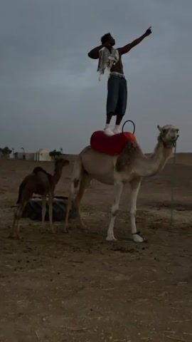 A person stands on the back of a camel in the desert at dusk. The person is wearing a white shirt around their neck and blue shorts. The camel has a red saddle. A younger camel stands in the background. A tent and a tire are also visible in the background. The sky is overcast. Another person, a male with blond hair, walks into the frame from the left.