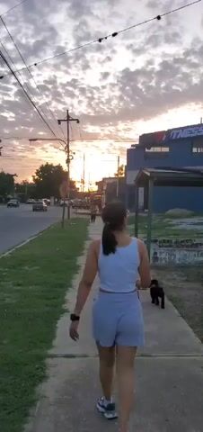 A woman wearing a white tank top and light blue shorts walks a small, black dog on a leash down a sidewalk, away from the camera. The dog stops to sniff the ground near a bus stop. The background shows a street with cars, trees, and a building with a large sign that is partially obscured. The sky is filled with clouds and a setting sun, creating a vibrant sunset. Power lines stretch across the sky. Other people can be seen walking in the distance.