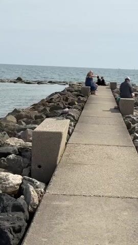 The video shows a concrete pier lined with large rocks on either side, leading out into a calm body of water. In the distance, the water meets a clear, pale sky. Several people are sitting at the end of the pier, partially obscured. The primary focus is a black crow, initially perched on a concrete block at the pier's edge. It then walks onto the rocks, moving towards the water. The scene is brightly lit, suggesting a sunny day.