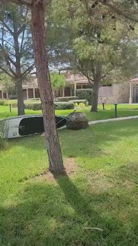 The video shows a person's perspective walking on a paved path through a grassy area. To the left of the path, there is a white and black paddleboard lying on the grass. Beyond the paddleboard, there are buildings in the background. There are several trees with pine needles and one tree with a rough, textured bark. The ground is covered in green grass. Further along the path, there are streetlights. The video ends as the path leads towards a body of water, possibly the sea, with some rocky structures visible in the distance.