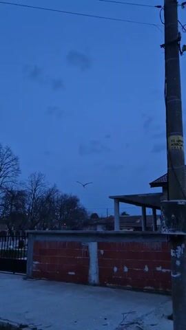 The video shows a still shot of a residential area under a blue, cloudy dusk sky. A utility pole is positioned on the right side of the frame. A low brick wall with white concrete pillars runs horizontally across the center of the frame. Behind the wall, a partially constructed house with a tiled roof and concrete support beams is visible. Trees without leaves are on the left side of the frame. In the distance, other houses can be seen. A single bird is flying in the sky. The foreground shows a paved surface.
