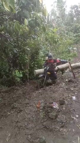 The video depicts a muddy uphill path through dense foliage. Three people are shown struggling to navigate this path on a motorbike. The motorbike is carrying a long, light-colored log across its seat, held by the passengers. One individual drives the motorbike while the other two support the log. A chicken stands in the mud near the bottom of the frame. The surrounding environment is wet and densely vegetated.