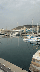 Morning marina scene captured in Barcelona harbor
