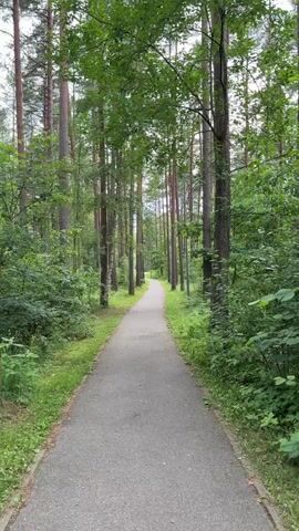 The video shows a paved path winding through a lush green forest. Tall, slender trees, primarily pines with some deciduous trees mixed in, line both sides of the path, creating a canopy of green leaves overhead. Sunlight filters through the foliage, casting dappled shadows on the path. The ground on either side of the path is covered in grass and low-lying green vegetation, with some fallen leaves visible.

The path appears to be a walking or cycling trail, gently curving to the right as it recedes into the distance. There are no people or animals visible in the video. A single lamppost is visible on the right side of the path, suggesting this is a managed park or recreational area. In the distance, a white sign with blue text is partially visible, possibly indicating a direction or information.

The overall impression is one of tranquility and natural beauty. The scene suggests a calm, pleasant day, likely in the late morning or early afternoon, given the quality of light. The environment feels serene and inviting for a leisurely stroll or outdoor activity. The location is identified as Upeslejas, Latvia, further contextualizing the scene within a European forest setting.