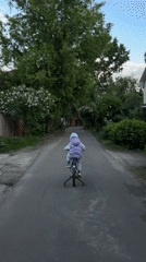 Child learns cycling, ducks swim at dandelion-lined Russian lake