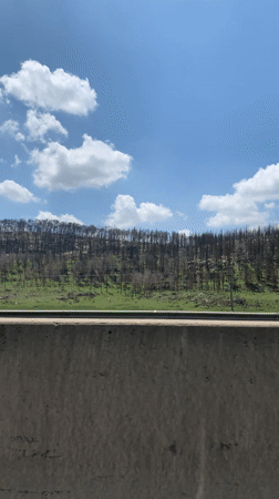 Morning documentation of Jerusalem's urban landscape and waste