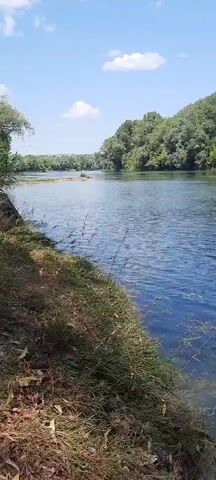 A slow pan reveals a wide, calm river bordered by lush green trees on both sides. The river flows from left to right in the frame. The left bank is covered in dry grass and some foliage. The water is a deep blue, with some lighter, reflective areas. The sky is a clear blue with a few wispy clouds. The overall impression is one of natural tranquility.