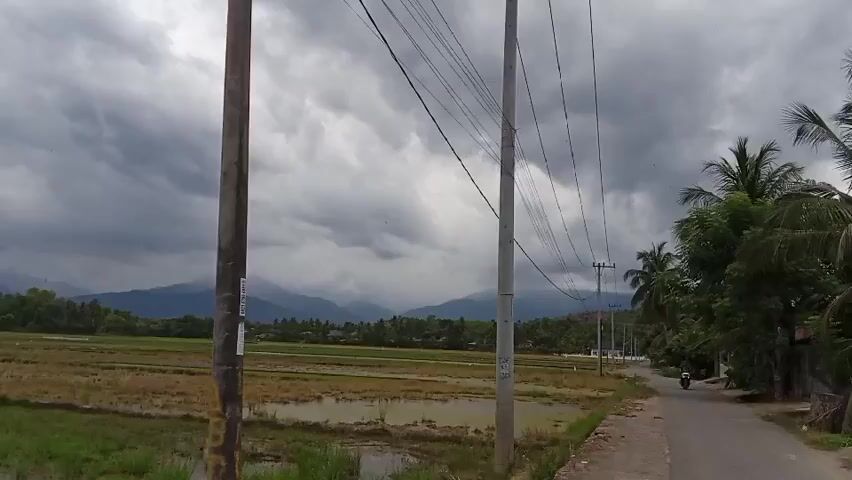 A drone shot pans over a rural landscape under a cloudy sky. In the foreground, two utility poles stand beside a paved road. To the left of the road, a rice paddy field is visible, with some areas flooded and others dry. In the distance, mountains rise against the horizon, partially obscured by clouds. Palm trees and other vegetation line the right side of the road. A person on a motorcycle can be seen riding away on the road.