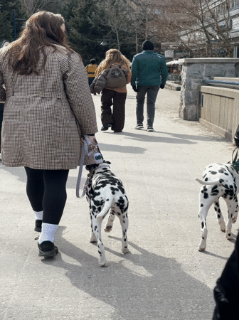 Evening scenes from Whistler coffee shops, restaurants, and streets