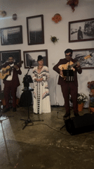 Late-night musical trio performs at Los Angeles indoor venue
