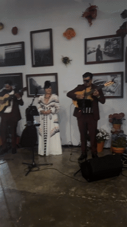 Late-night musical trio performs at Los Angeles indoor venue