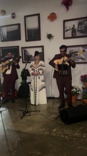 Late-night musical trio performs at Los Angeles indoor venue