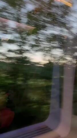 The video shows a view from a moving vehicle, likely a train, looking out a window at a rural landscape during what appears to be sunset. The sky is a gradient of light blue and soft orange. In the distance, there are rolling hills covered in trees and vegetation. In the foreground, there are fields of green crops or grass. The motion of the vehicle causes a slight blur in the image, especially on the right side where trees are seen whizzing by. Reflections are visible on the window, but they do not obscure the view of the landscape. There are no people or distinct objects visible within the landscape itself.