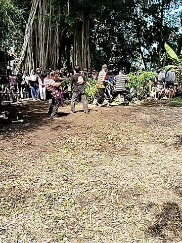 The scene appears to be an outdoor performance or ritual taking place in a grassy area with a large tree with hanging vines.  Several people, dressed in what seems to be traditional or stylized clothing, are moving around. One individual wearing a striped shirt and black pants seems to be the focus of the action as they perform movements that suggest a dance or martial art. In the background, a crowd of people stand observing. The setting is rural with green foliage visible in the background.