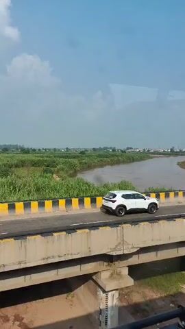 The video begins with a wide shot of a river flowing through lush green fields under a hazy sky. A truck is seen driving on a highway that runs alongside the river. The highway is bordered by a concrete barrier and yellow and black striped markings. The camera then pans to the right, revealing a dense canopy of green trees, some of which have yellow flowers. The sky above the trees is blue with scattered white clouds. The video appears to have been filmed from a moving vehicle, likely a car, given the slight motion blur and the perspective.