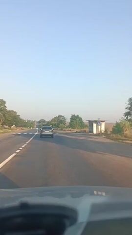 The video shows a view from inside a vehicle traveling on a road. The road has a white dashed line on the left and a solid white line on the right, indicating a two-lane road. There is a pedestrian crossing marked on the road. A silver car is driving ahead in the same lane. On the right side of the road, there is a small bus stop shelter with a blue and white pedestrian crossing sign. Trees and vegetation line the sides of the road, and the sky is clear and blue. The sun appears to be low in the sky, suggesting it could be early morning or late afternoon.