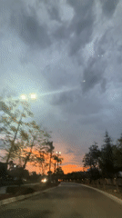 Vehicle captures stormy sunset on tree-lined road in Mexico