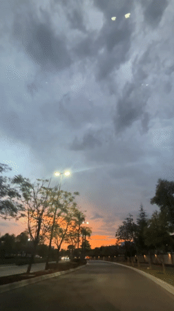 Vehicle captures stormy sunset on tree-lined road in Mexico