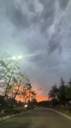 Vehicle captures stormy sunset on tree-lined road in Mexico