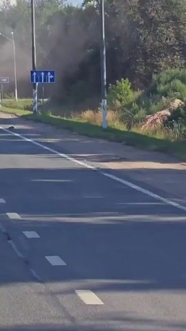 A grey van is driving down a road. A white truck is in front of the van, driving in the same direction. There is a sign on the right side of the road indicating that cars can go straight or turn right. There are trees and streetlights on both sides of the road. The weather appears to be sunny.