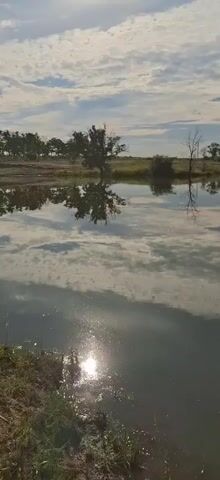 A video pans across a calm body of water, reflecting a cloudy sky and a treeline on the opposite bank. The sun glints off the water's surface in the foreground.