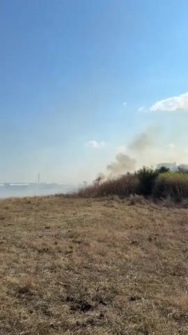 The video shows a dry, grassy field under a clear blue sky. In the distance, on the right side of the frame, there is a patch of vegetation that appears to be on fire, emitting smoke and some red flames. Further in the distance, there are buildings and possibly some industrial structures. In the foreground and middle ground, there are people walking in the field, some are closer to the camera and others are further away, moving towards the area of the fire. A few individuals, including a child, are walking away from the camera towards the smoke. The overall impression is that of an uncontrolled fire in a dry, open area, with people observing or approaching the scene.