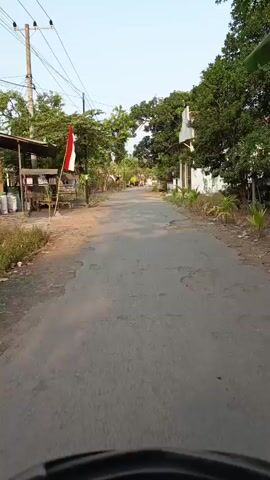 THE VIDEO SHOWS A FIRST-PERSON VIEW OF A PERSON ON A MOTORCYCLE TRAVELING DOWN A NARROW, PAVED ROAD. THE ROAD HAS CRACKS AND SOME UNEVENNESS. ON THE LEFT SIDE OF THE ROAD, THERE IS A SHED WITH A RED AND WHITE FLAG ATTACHED TO A POLE. THERE ARE TREES AND BUSHES ALONG BOTH SIDES OF THE ROAD. ON THE RIGHT SIDE, THERE IS A BUILDING WITH A TILE ROOF. FURTHER DOWN THE ROAD, A YELLOW VEHICLE IS VISIBLE. THE SKY IS CLEAR AND THE SUN APPEARS TO BE SETTING, CASTING LONG SHADOWS.