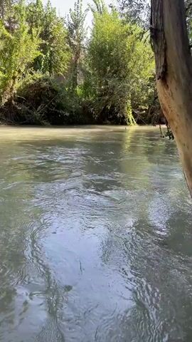 A slow-motion video captures a tranquil river flowing under a canopy of lush green trees. The sunlight filters through the leaves, casting dappled patterns on the water's surface. The riverbanks are lined with dense foliage, and in the background, a glimpse of buildings suggests a nearby settlement. The water appears calm, with gentle ripples disturbing its smooth surface. The overall atmosphere is one of peace and natural beauty.