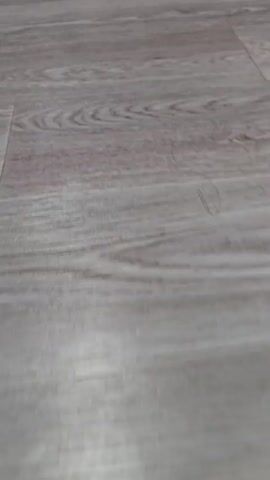 A close-up video shows a fluffy light brown dog's face. The dog's nose is visible, and its fur is fluffy and light brown. The background is a wooden floor with a visible wood grain pattern. The dog appears to be lying down on the floor.