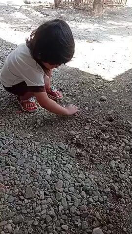 A child is crouching on a gravel path, wearing a white t-shirt with brown trim and brown shorts. The child is reaching out with their right hand to touch something on the ground. There are small rocks and dirt on the path. In the background, there is a wooden fence and some vegetation. The lighting suggests it is daytime, possibly sunny.