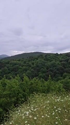 This video shows a panorama of rolling green hills under a cloudy sky. The camera pans from a dense forest in the foreground, with wildflowers and tall grass, to distant, misty mountains. In the middle ground, there is a clearing on a hilltop with a park bench and a lone, bare tree. The scene appears to be a natural landscape, possibly a park or a scenic viewpoint.